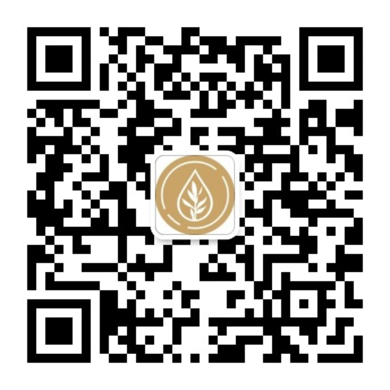 湛江市开发区德德元诊所有限公司